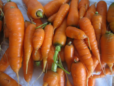 carrots